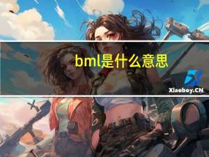 bml是什么意思（bml是什么）