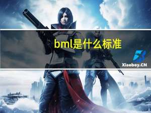 bml是什么标准（bml是什么）