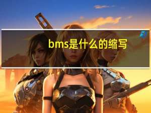 bms是什么的缩写