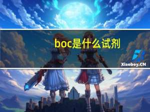 boc是什么试剂