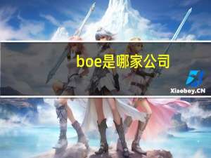 boe是哪家公司