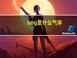 bog是什么气体