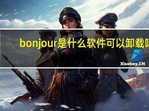 bonjour是什么软件可以卸载吗（bonjour是什么软件）