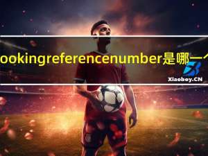 booking reference number是哪一个