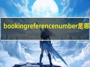 booking reference number是哪一个