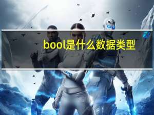 bool是什么数据类型
