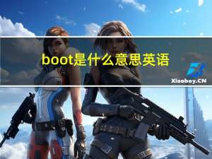 boot是什么意思英语（boods）