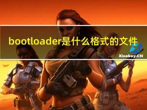 bootloader是什么格式的文件（bootloader是什么意思）