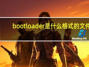 bootloader是什么格式的文件（bootloader是什么意思）