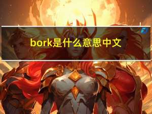 bork是什么意思中文（boomshake什么意思）