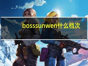 bosssunwen什么档次
