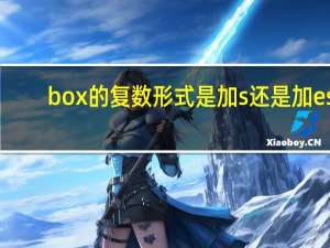 box的复数形式是加s还是加es