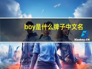 boy是什么牌子中文名