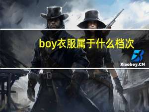 boy衣服属于什么档次