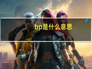 bp是什么意思（关于bp是什么意思的介绍）