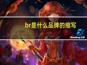 br是什么品牌的缩写