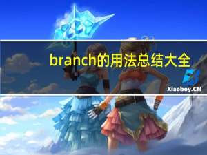branch的用法总结大全