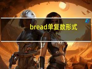 bread单复数形式