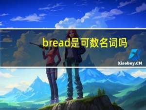 bread是可数名词吗？