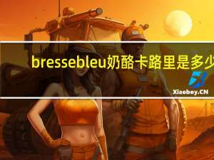 bresse bleu 奶酪卡路里是多少