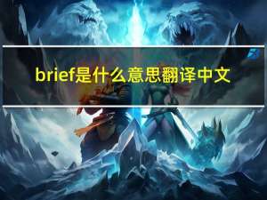 brief是什么意思翻译中文（brief是什么意思）