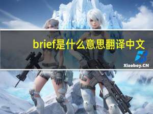 brief是什么意思翻译中文（brief是什么意思）