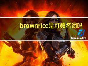 brownrice是可数名词吗