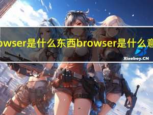 browser是什么东西 browser是什么意思