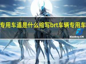 brt车辆专用车道是什么缩写 brt车辆专用车道是什么意思