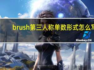 brush第三人称单数形式怎么写