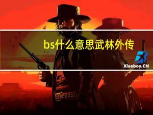bs什么意思武林外传