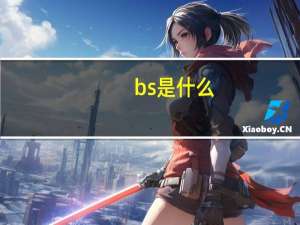 bs是什么