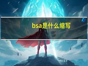 bsa是什么缩写（bsa）