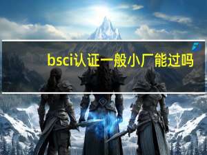 bsci认证一般小厂能过吗