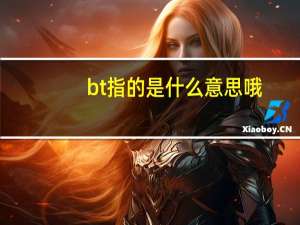 bt指的是什么意思哦