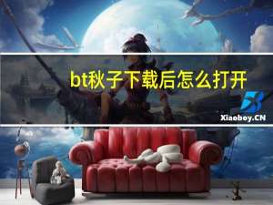 bt种子下载后怎么打开（bt种子怎么打开）