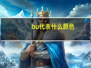 bu代表什么颜色