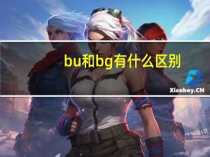 bu和bg有什么区别