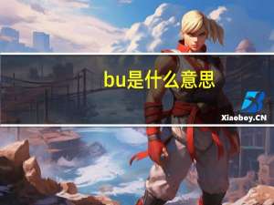 bu是什么意思？