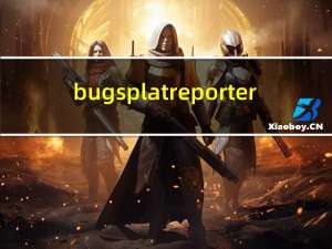 bugsplatreporter（bug splat）