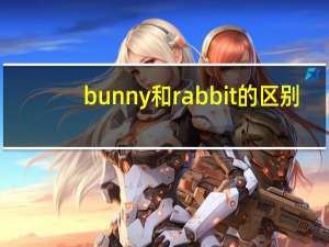 bunny和rabbit的区别