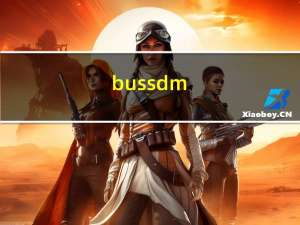 bussdm（busdmm贴吧）
