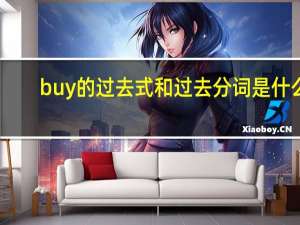 buy的过去式和过去分词是什么？