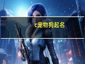 c宠物狗起名