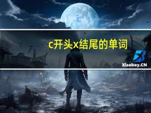 c开头x结尾的单词