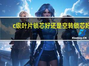 c级叶片锁芯好还是空转锁芯好