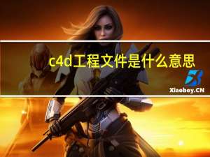 c4d工程文件是什么意思