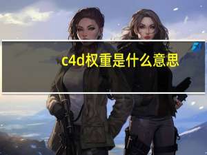 c4d权重是什么意思