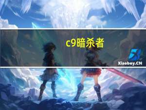 c9暗杀者（关于c9暗杀者的介绍）