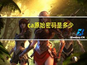 ca原始密码是多少